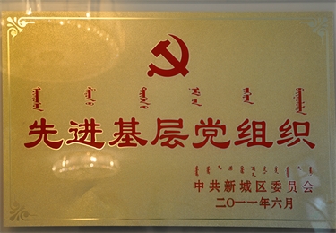 先進(jìn)基層黨組織
