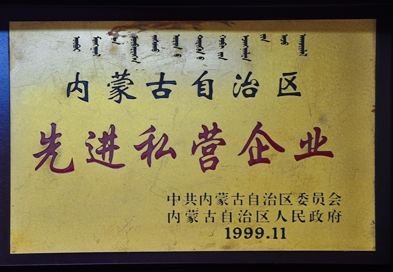 內(nèi)蒙古自治區(qū)先進(jìn)私營企業(yè)