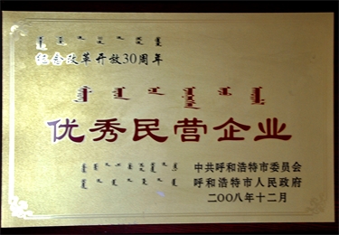 優(yōu)秀民營(yíng)企業(yè)