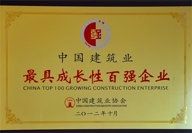 中國(guó)建筑業(yè)最具成長(zhǎng)性百?gòu)?qiáng)企業(yè)
