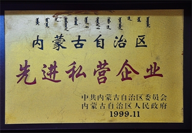 內蒙古自治區(qū)先進私營企業(yè)