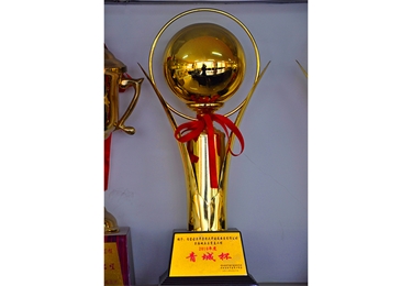 2010年度青城杯